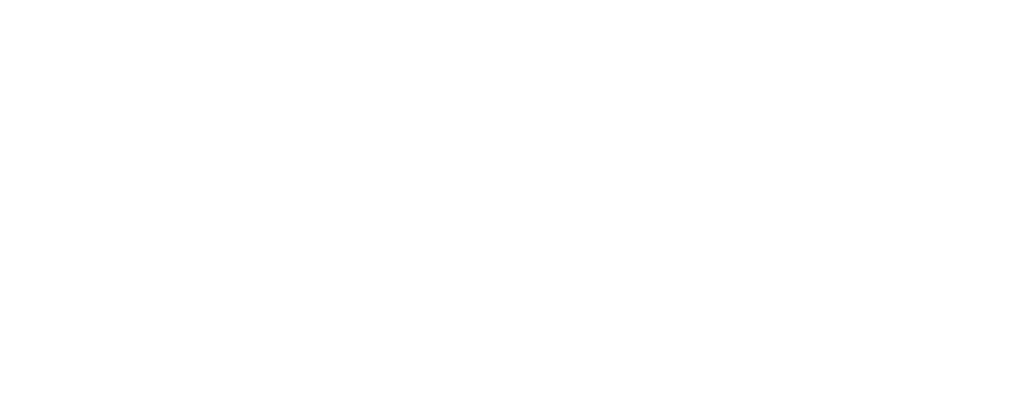 Levis-logo-white_updated