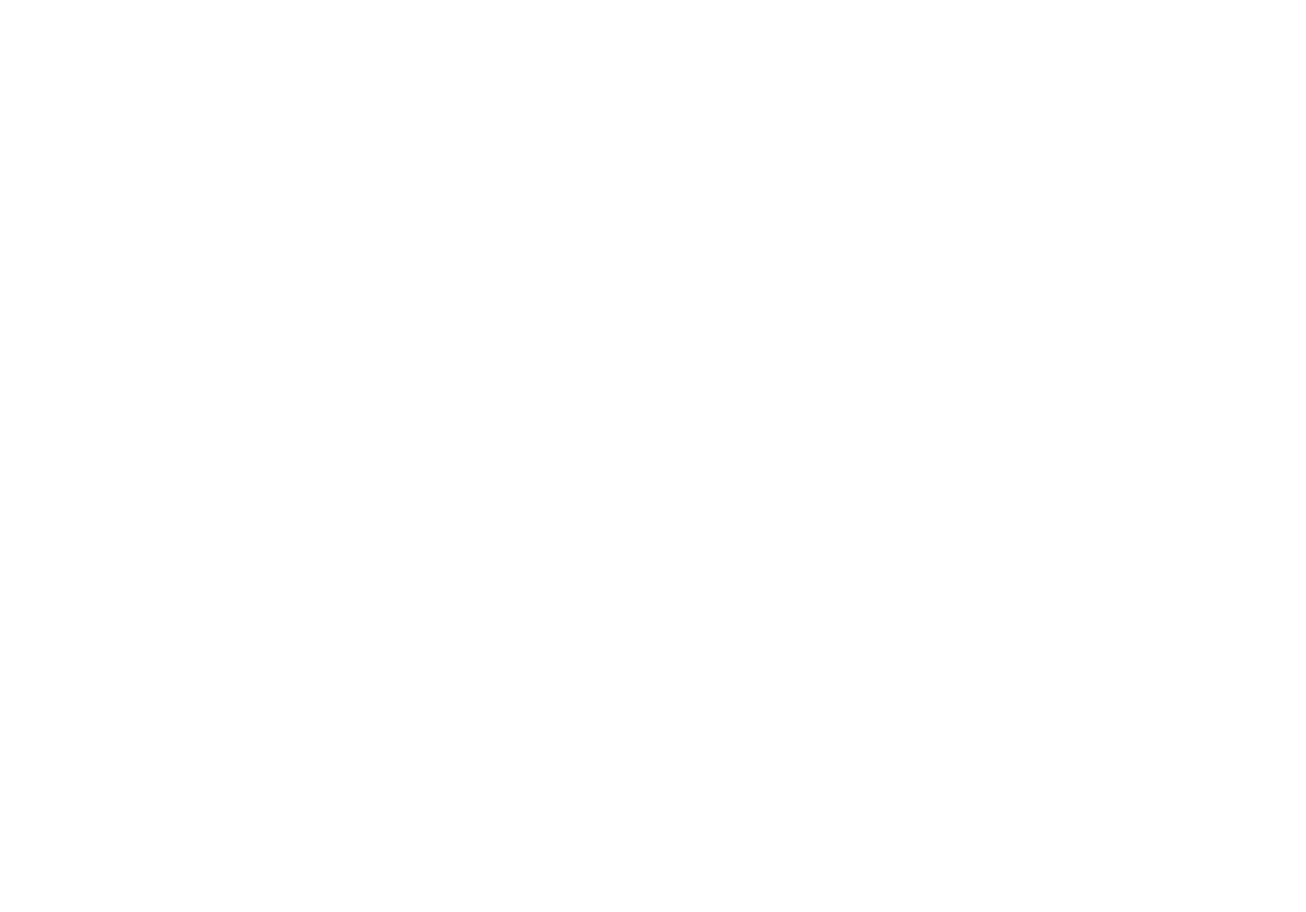 Adidas-DT-STOR